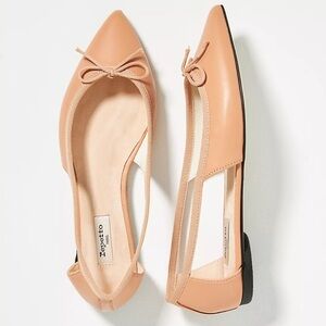 Repetto Paris Typhanie Pointed Toe Ballet Flats